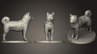 3D model Dog (STL)